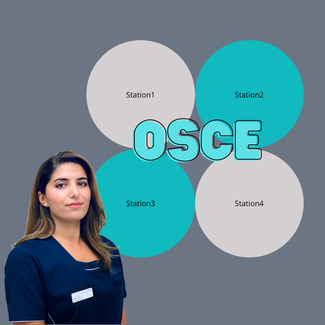 OSCE Workshop
