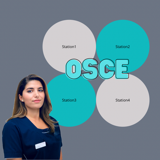 OSCE Workshop